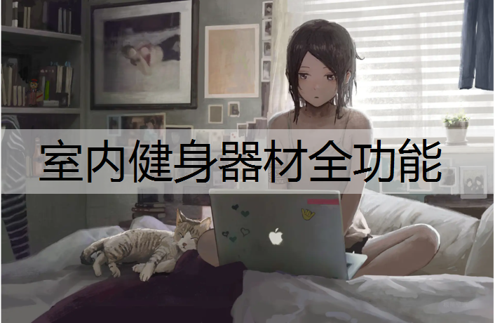 室内健身器材全功能