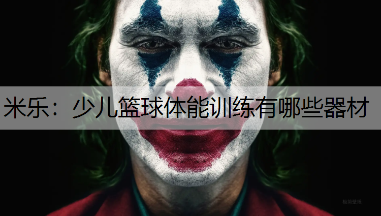 米乐：少儿篮球体能训练有哪些器材