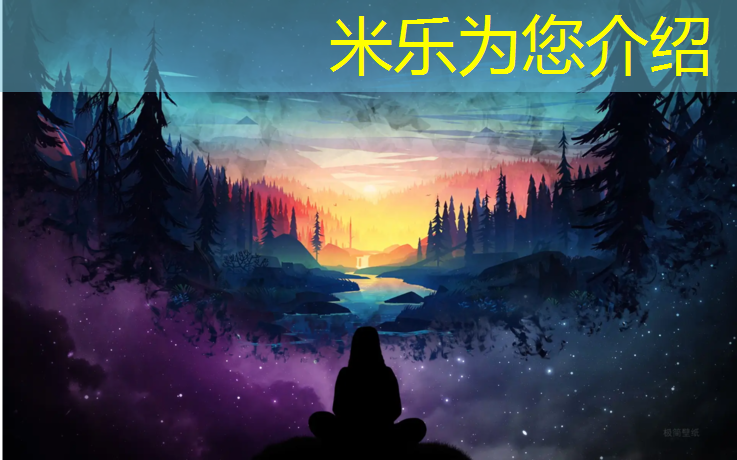 米乐为您介绍：东北虎跆拳道护具