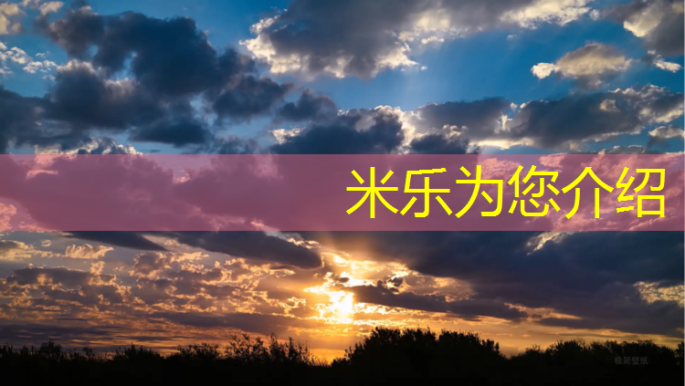 米乐m6官网登录入口为您介绍：中卫体育场塑胶跑道