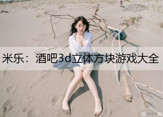 酒吧3d立体方块游戏大全
