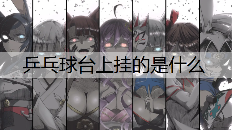 乒乓球台上挂的是什么