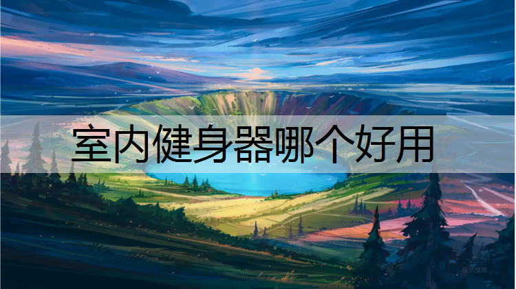 室内健身器哪个好用